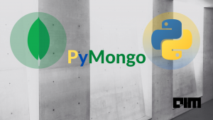 Configuring Docker with MongoDB and connecting it with PyMongo