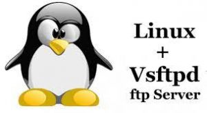 FTP server for Linux